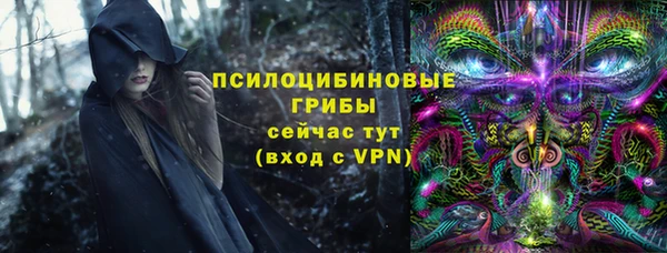 стафф Алексеевка