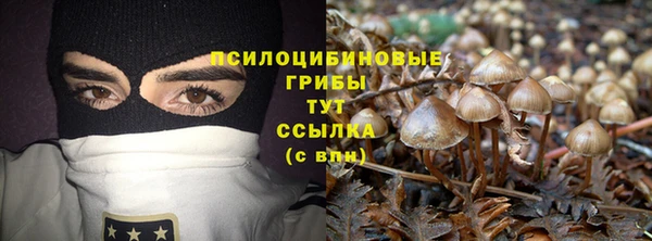 стафф Алексеевка